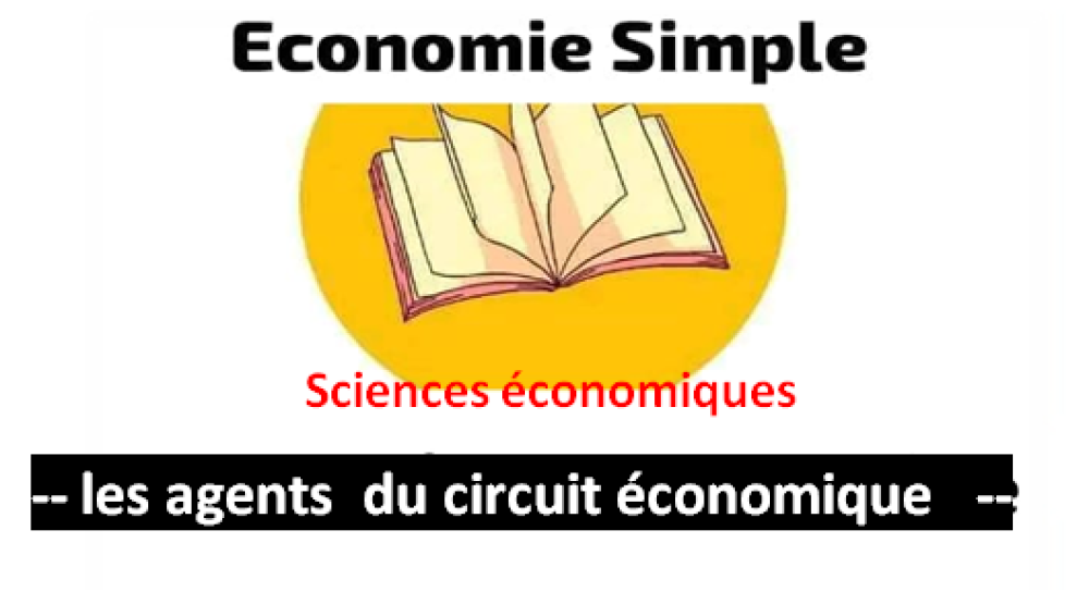 Guide complet sur les Agents Économiques et leurs Interactions